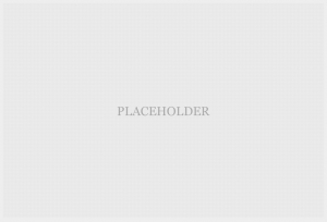 Phasellus blandit sapien