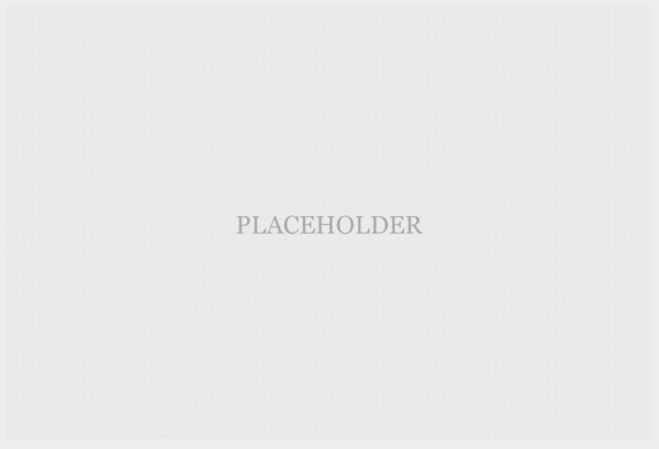 Phasellus blandit sapien